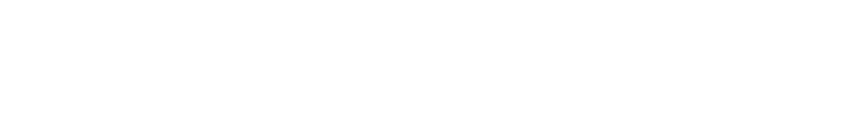 Ascension St. Vincent's Foundation